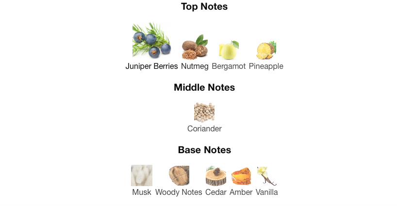 MAISON FRANCIS KURKDHJIAN : Gentle Fluidity Silver