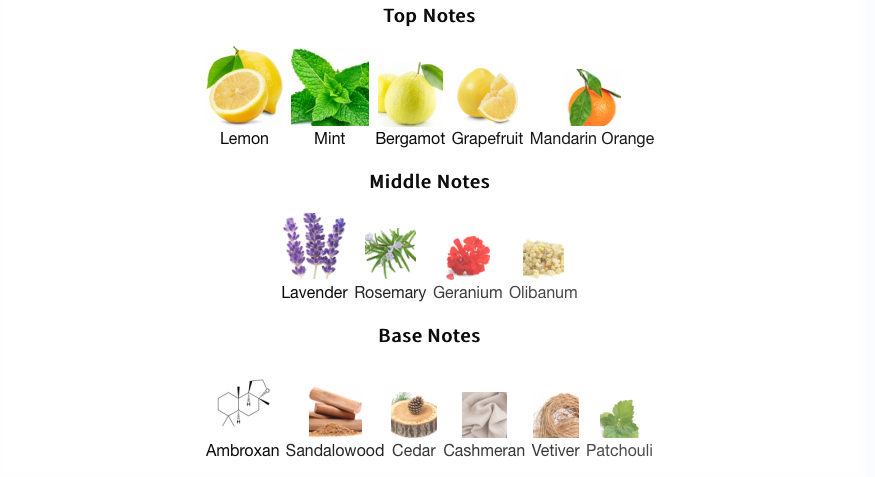 PARFUMS DE MARLY : Sedley