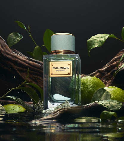 DOLCE & GABBANA : Velvet Infusion